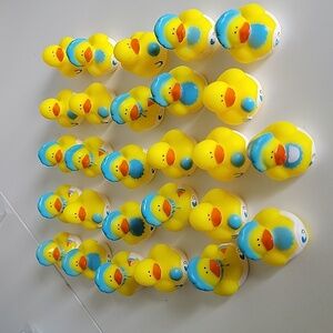 27 miniature ducks for baby boy 👶